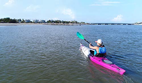 Perception Kayaks Expression 11.5 | Sit Inside Kayak | Light Touring Kayak with Adjustable Zone Seating | 11' 6