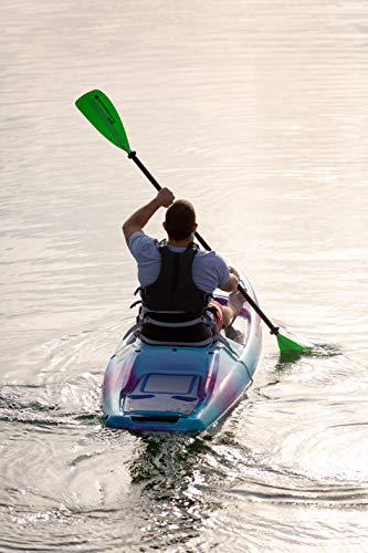 Perception Kayak Hi Life for Recreation