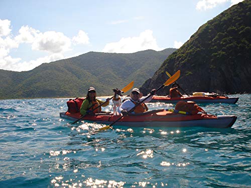 Advanced Elements AE1007-E AdvancedFrame Convertible Elite Inflatable Kayak , Red, 15ft